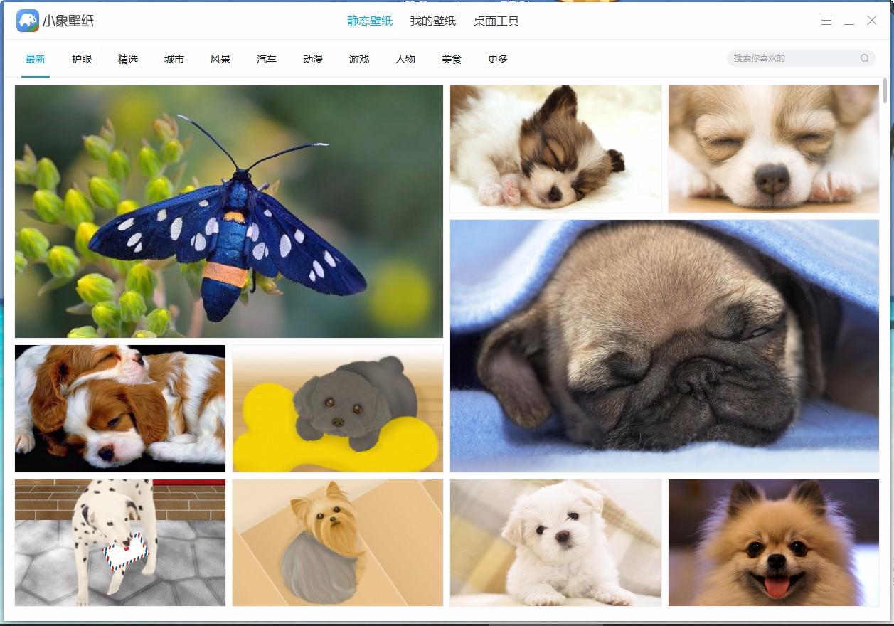 小象壁纸,免费壁纸,桌面壁纸,静态壁纸,桌面美化
