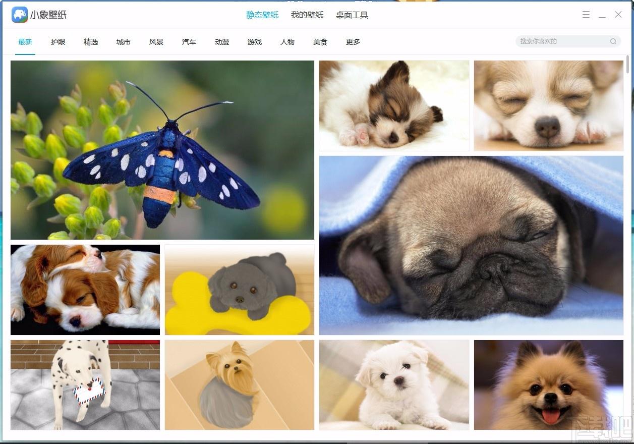 小象壁纸,免费壁纸,桌面壁纸,静态壁纸,桌面美化