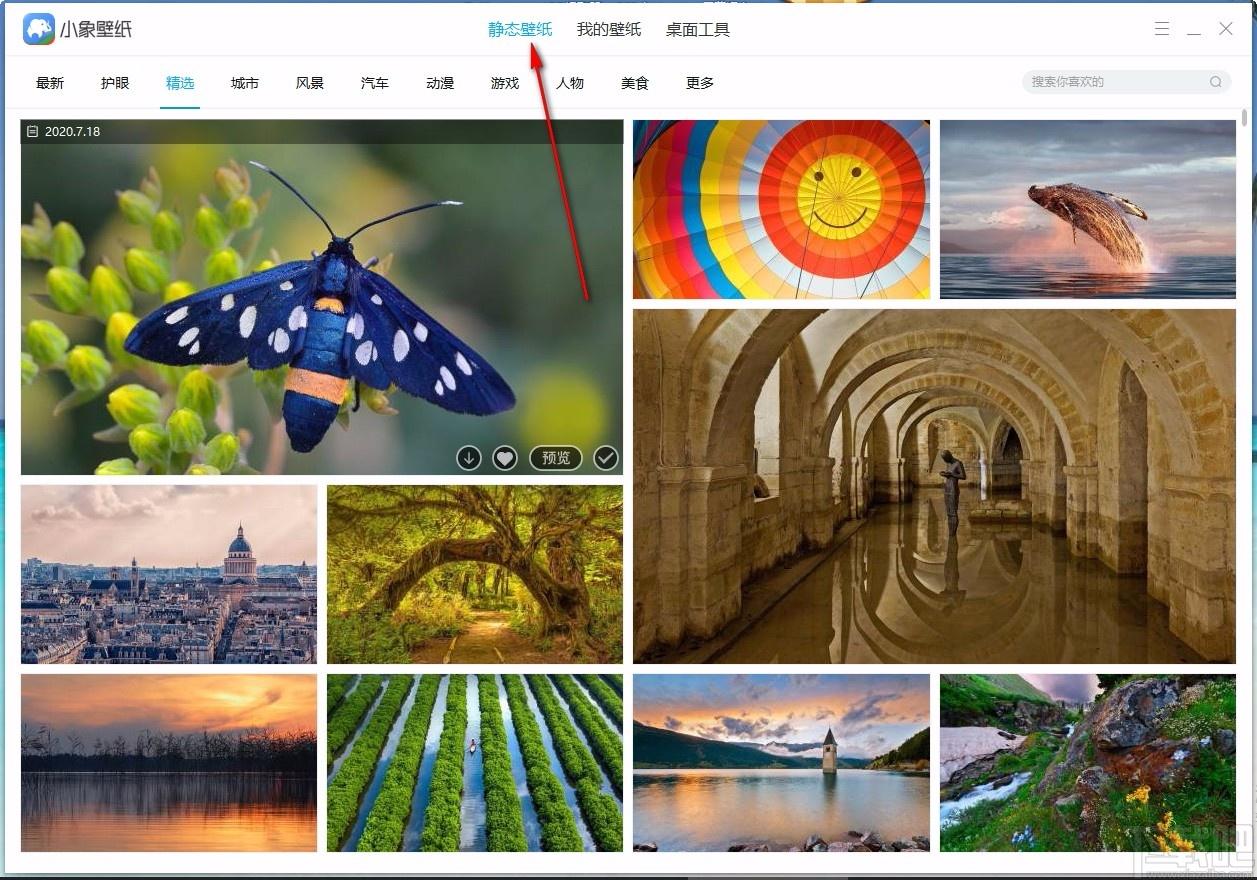 小象壁纸,免费壁纸,桌面壁纸,静态壁纸,桌面美化
