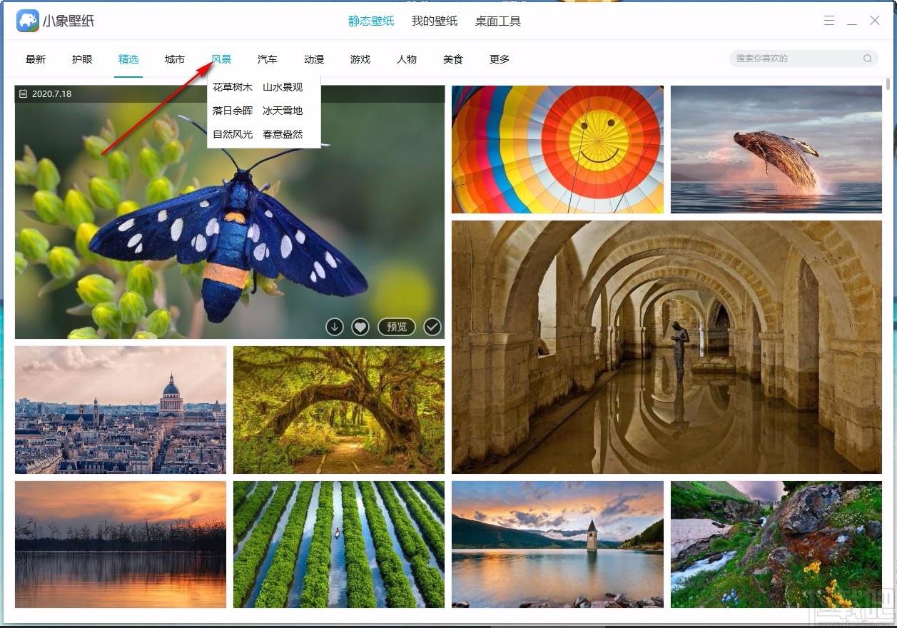 小象壁纸,免费壁纸,桌面壁纸,静态壁纸,桌面美化