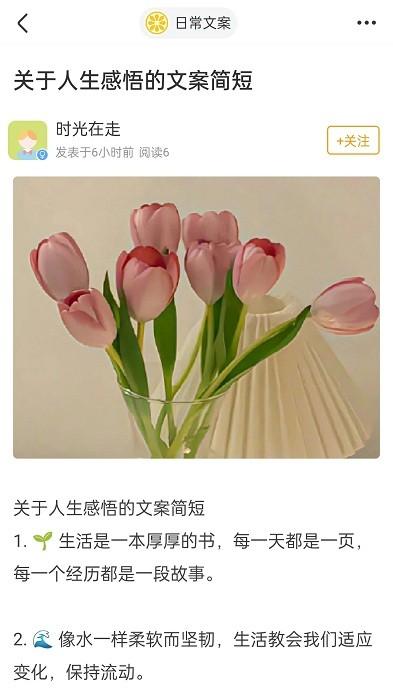果橙头像壁纸app下载,壁纸app,头像app,果橙头像